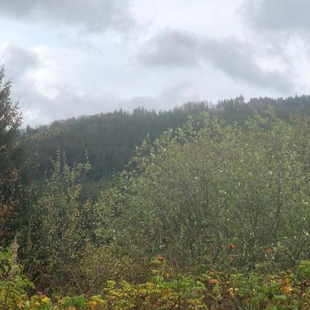 Fewo Berg Idyllika Willingen  Esterno foto