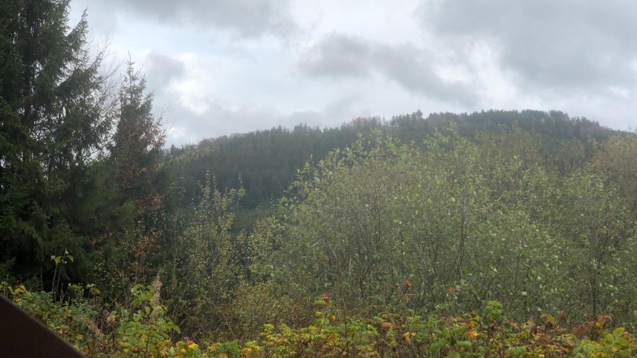 Fewo Berg Idyllika Willingen  Esterno foto
