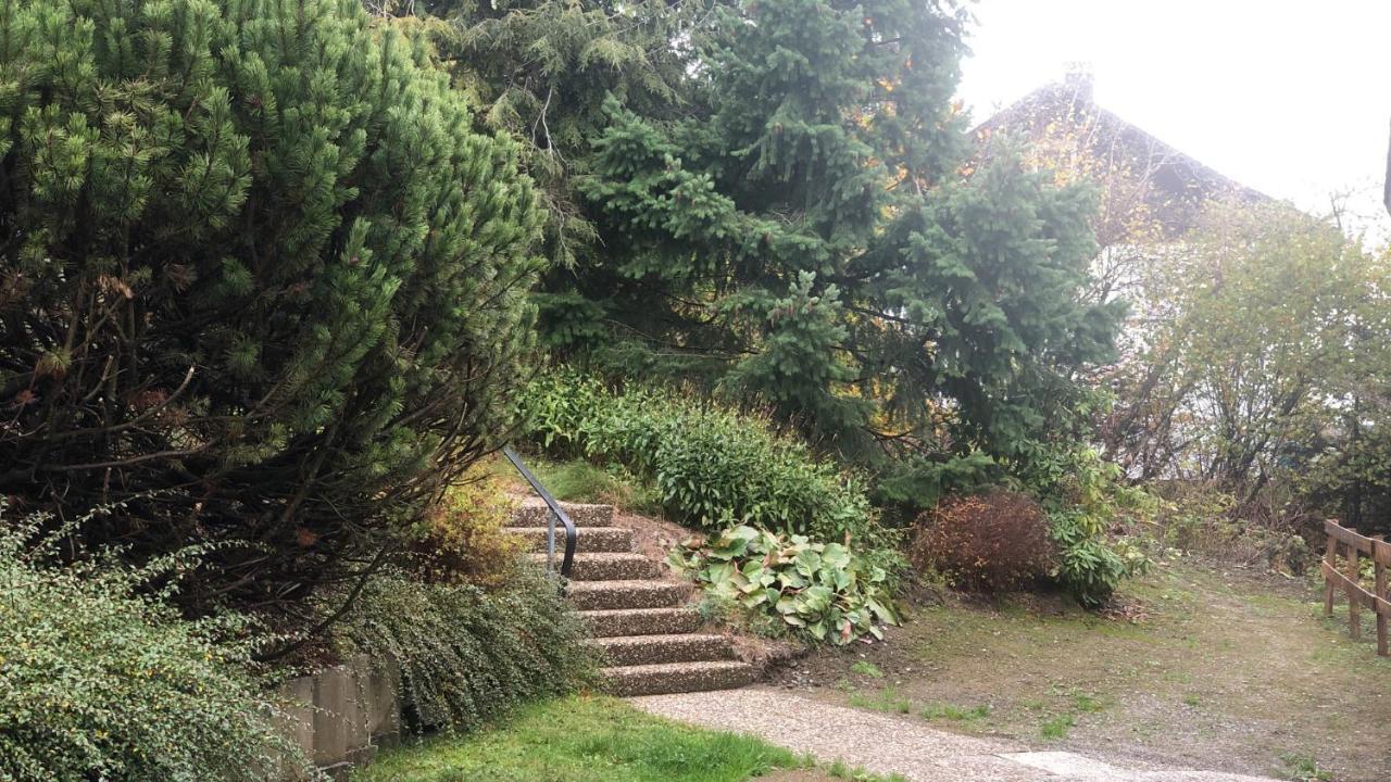 Fewo Berg Idyllika Willingen  Esterno foto