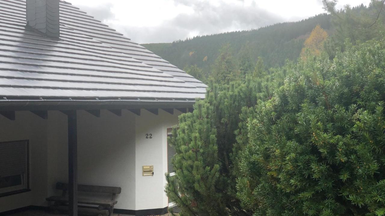 Fewo Berg Idyllika Willingen  Esterno foto